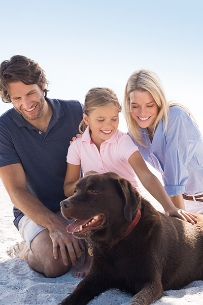 Family with pet on the beach